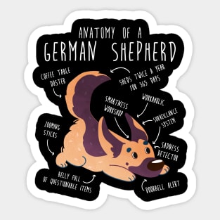 German Shepherd Dog Anatomy Sticker